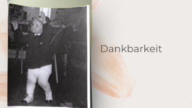 Dankbarkeit-mein Weg