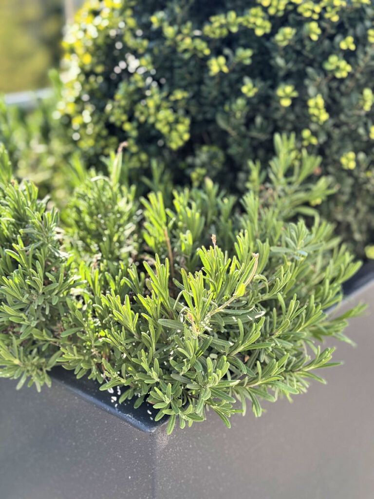 Alles braucht Zeit-der 4. Impuls-lifewithaglow Alles braucht Zeit-der 4. Impuls-lifewithaglow