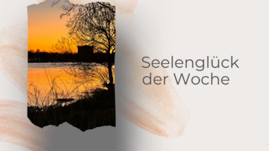 Seelenglück 15/25- Wiedersehen