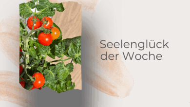 Seelenglück 24/25-Schau mal hin