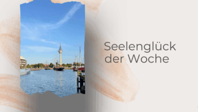 Seelenglück 25/2025-lifewithaglow-summervibes