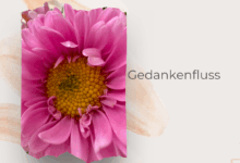 Die Suche nach dem Glück-lifewithaglow-Gedanken