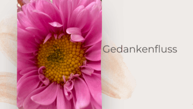 Die Suche nach dem Glück-lifewithaglow-Gedanken