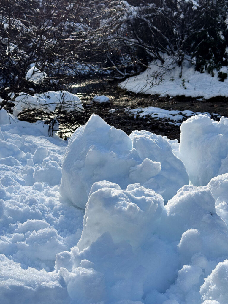 Nicole&Ines reden über-winteressentiale-lifewithaglow