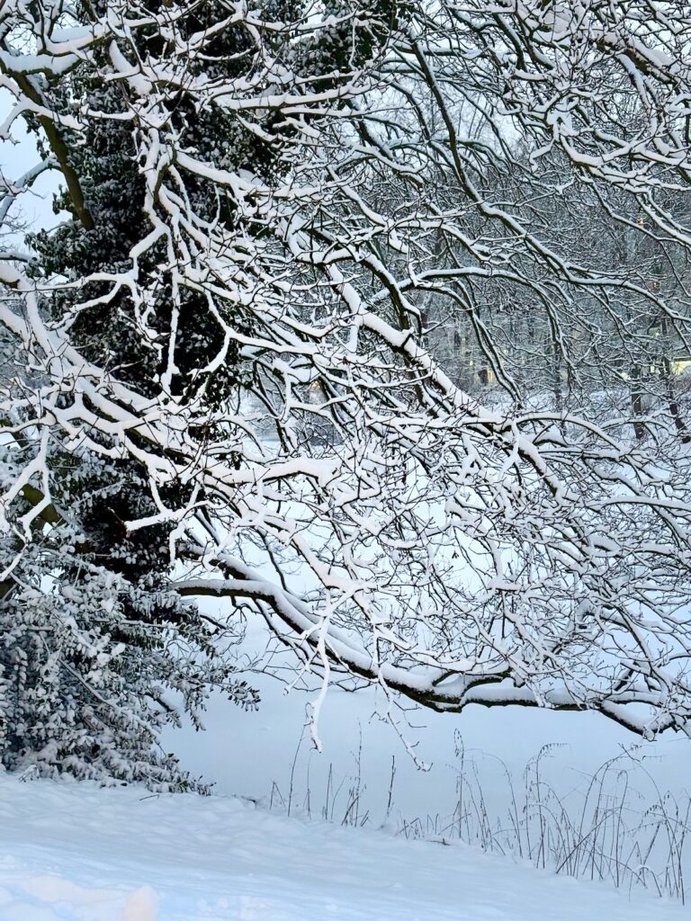 Seelenglück 8/26_Reisen und Liebe-lifewithaglow Seelenglück 8/26_Reisen und Liebe-lifewithaglow