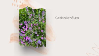Mehr Glow statt Alltagsgrau-Sommeralltag-lifewithaglow