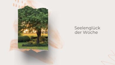 Seelenglück 24/26-null Sommer-lifewithaglow