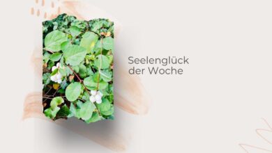 Seelenglück-Strohwitwe und trotzdem happy-lifewithaglow